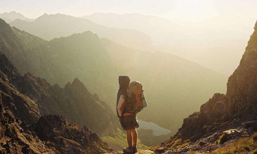 Laravel or Django? A Practical Engineering Guide for Your Next Enterprise API